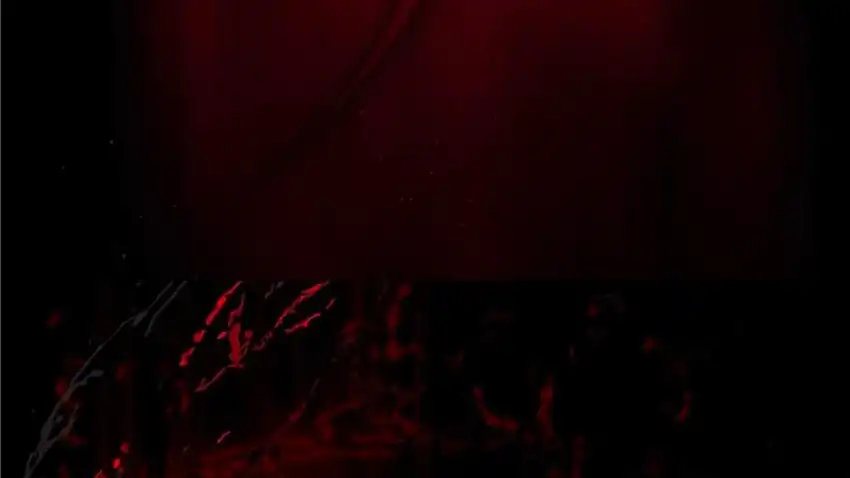 Baca The Snow Leopard Baby of the Black Leopard Family - Chapter 30 halaman 235