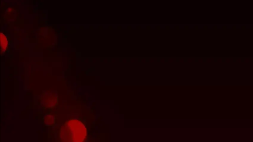 Baca The Snow Leopard Baby of the Black Leopard Family - Chapter 30 halaman 253