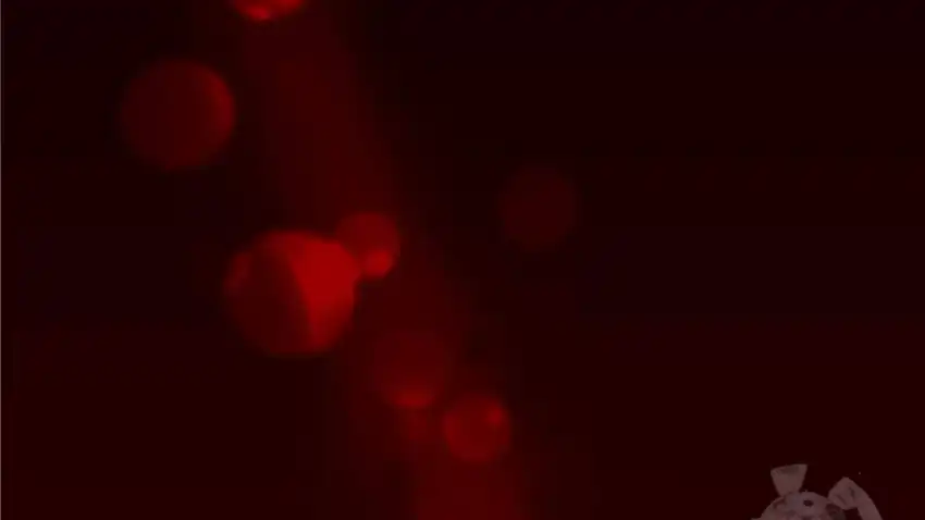 Baca The Snow Leopard Baby of the Black Leopard Family - Chapter 30 halaman 254