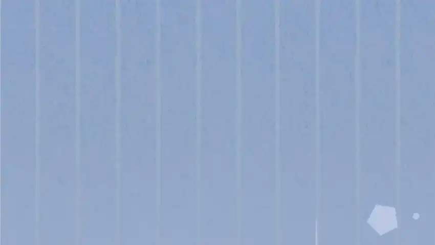 Baca The Snow Leopard Baby of the Black Leopard Family - Chapter 30 halaman 84