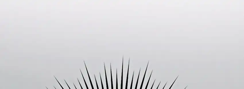 Baca The Snow Leopard Baby of the Black Leopard Family - Chapter 31 halaman 76