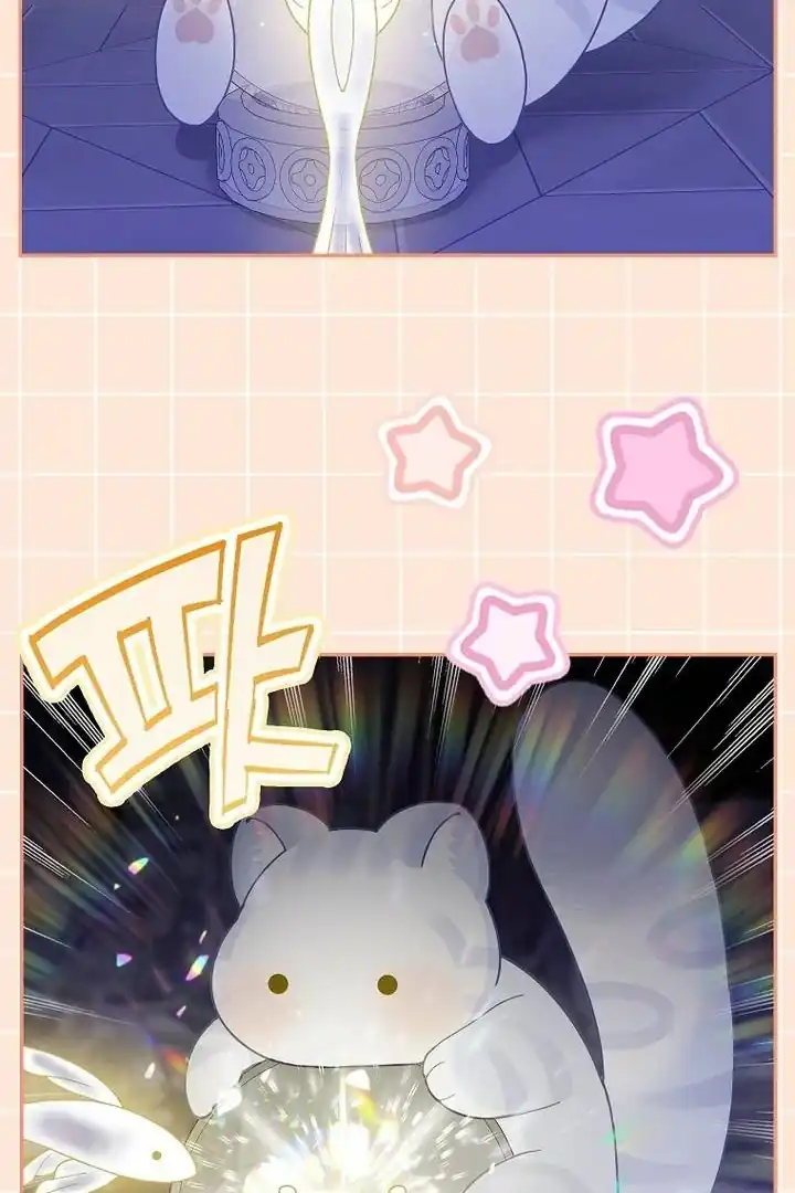 Baca The Snow Leopard Baby of the Black Leopard Family - Chapter 40 halaman 70