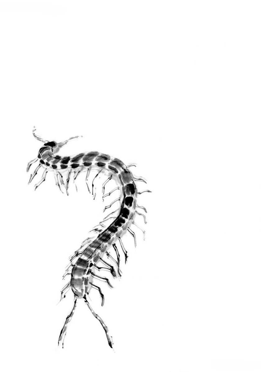 Baca Tora wa Ryuu wo Mada Tabenai - Chapter 22 halaman 4