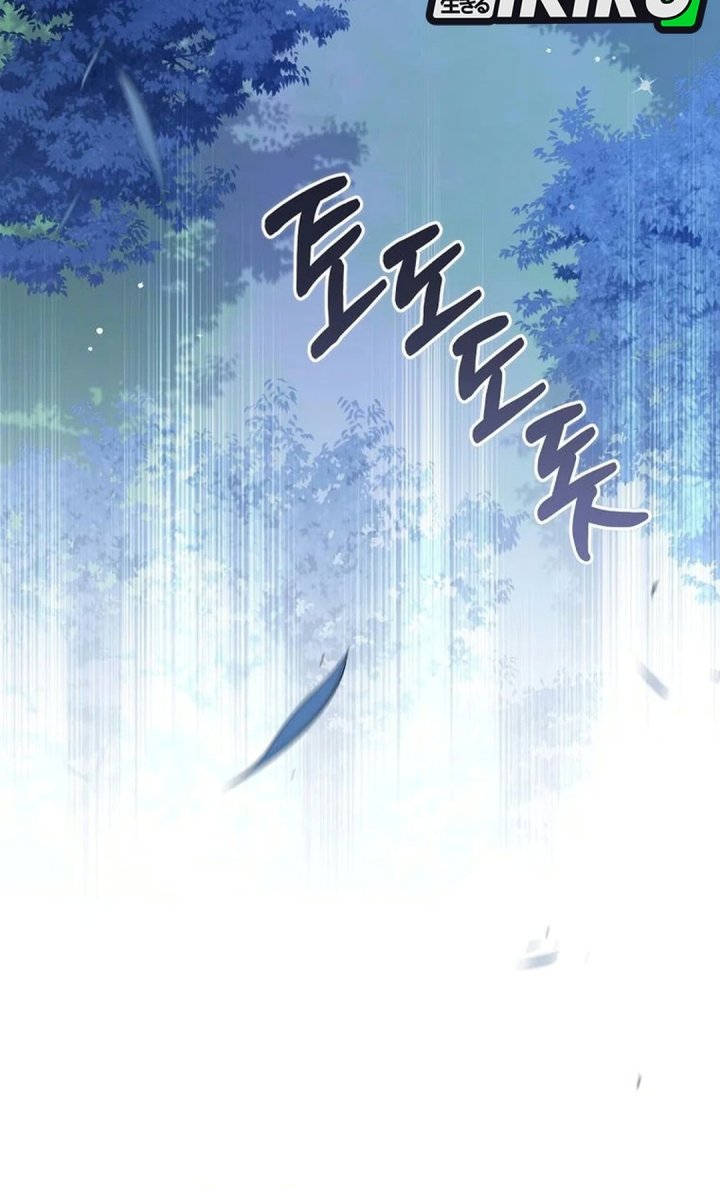 A Baby Cat Who Commands the Dog Clan Chapter 41 - Page 13