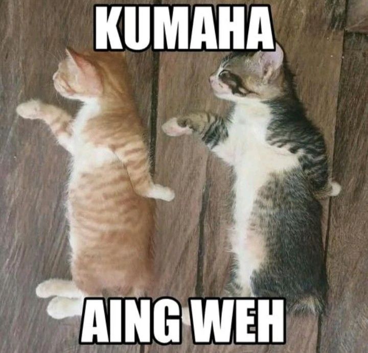 Baca Cosmic Heavenly Demon 3077 - Chapter 83 halaman 53