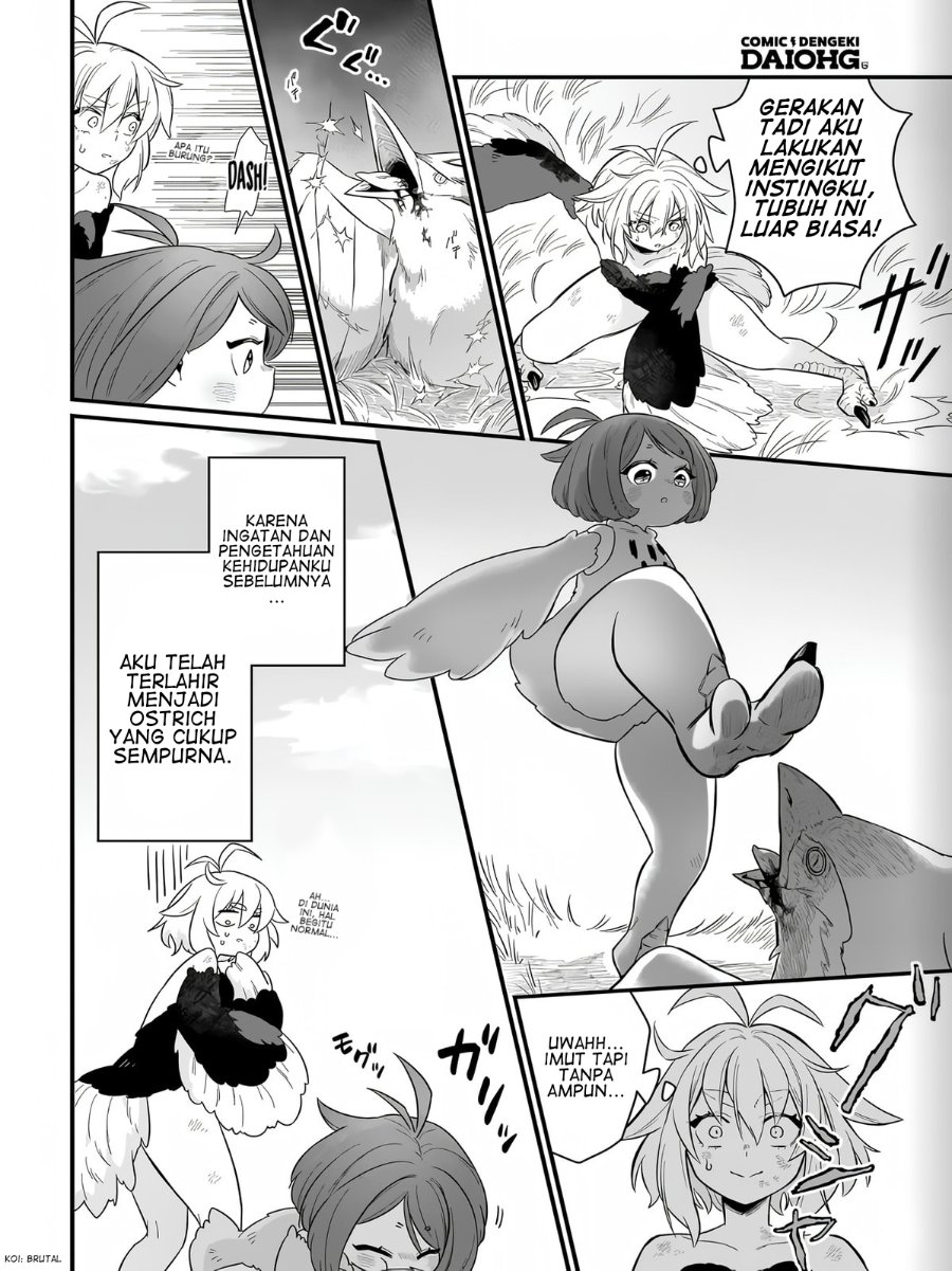 Dachou Juujin no Hachamecha Musou - Aho Kawaii Saikyou Shuzoku no Leader ni Narimashita Chapter 1 - Page 17