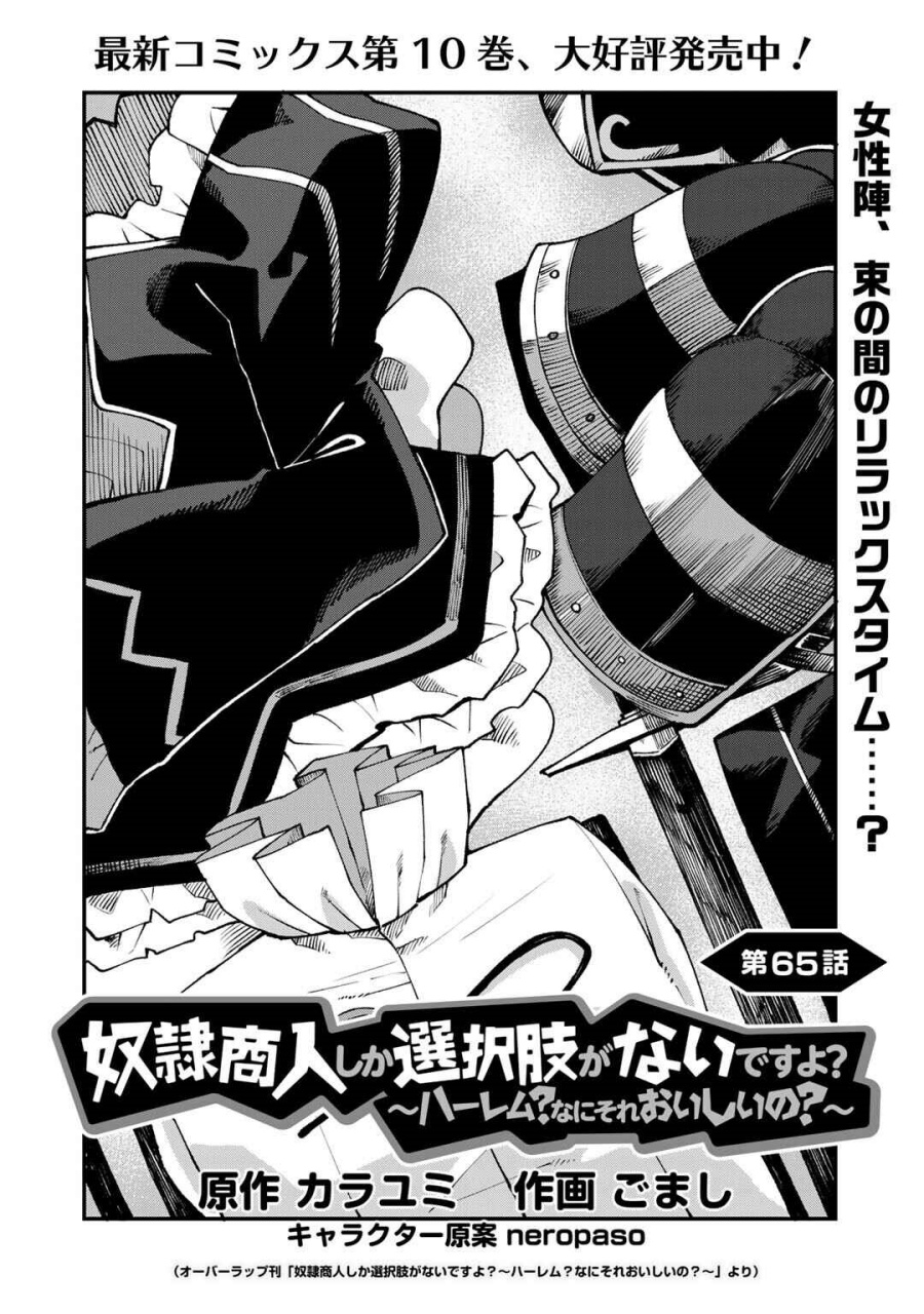 Baca Dorei Shounin shika Sentakushi ga nai desu yo? ~Harem? Nani sore oishii no?~ - Chapter 65 halaman 3
