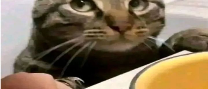 Baca Dragon Master - Chapter 382 halaman 22