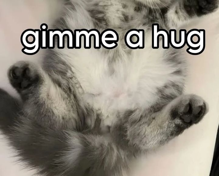 Baca Dungeon Odyssey - Chapter 155 halaman 39