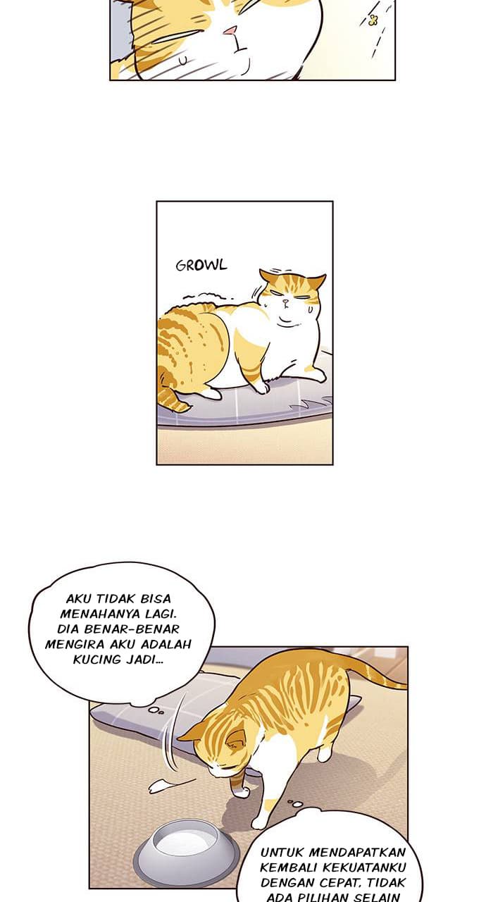 Baca Eleceed - Chapter 1 halaman 52