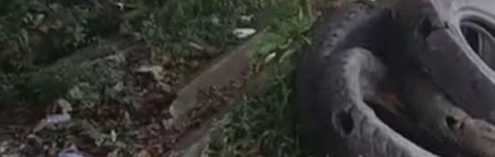 Baca Golden Core Is a Star You Call This Cultivating Immortality - Chapter 32 halaman 18