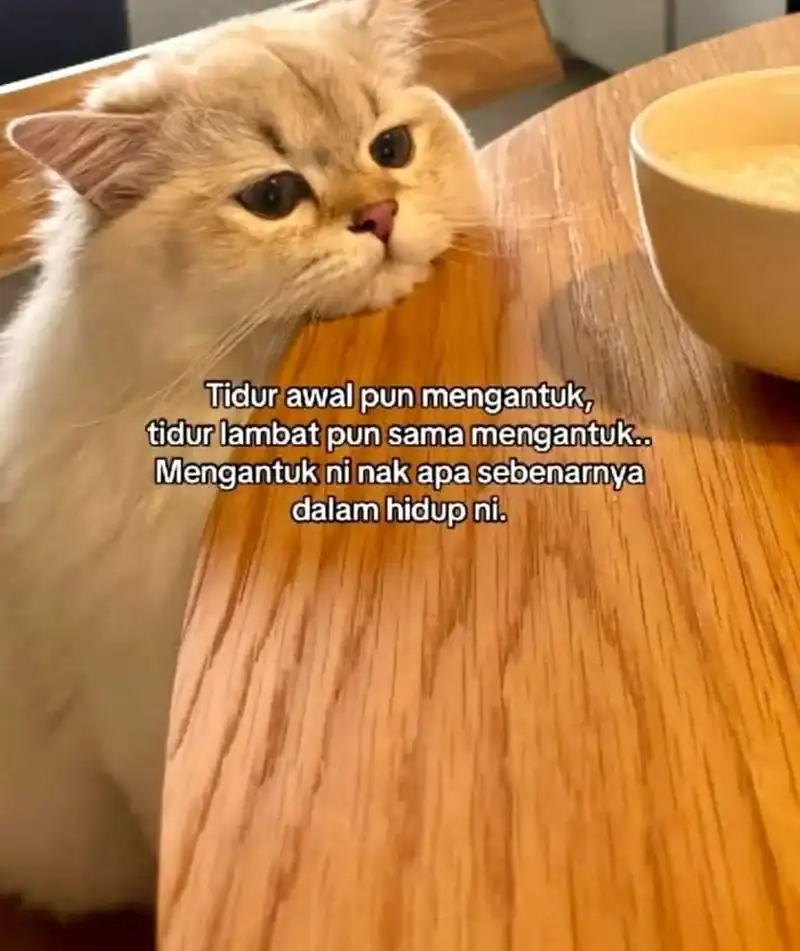 Baca Heavenly Demon Wants to Be a Chef - Chapter 82 halaman 38