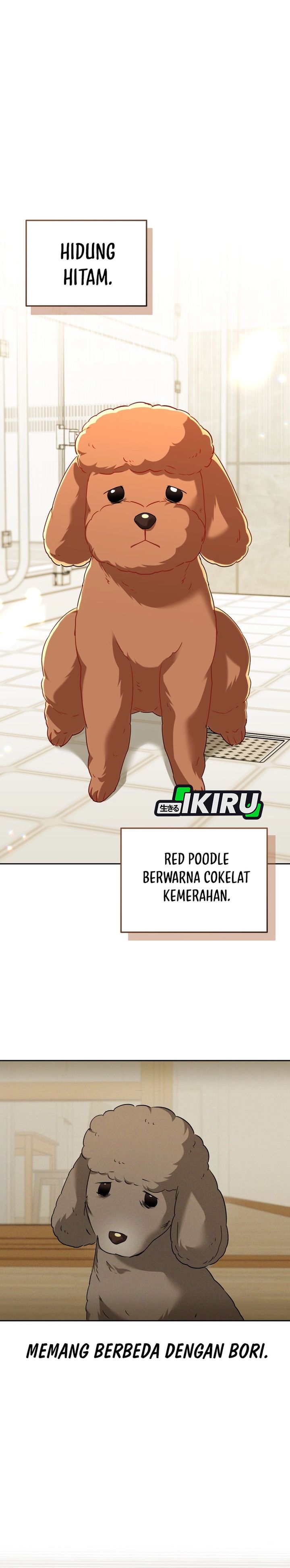 Baca Hello? Veterinarian! - Chapter 139 halaman 11