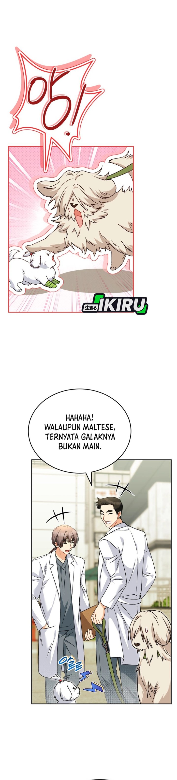 Hello? Veterinarian! Chapter 144 - Page 11