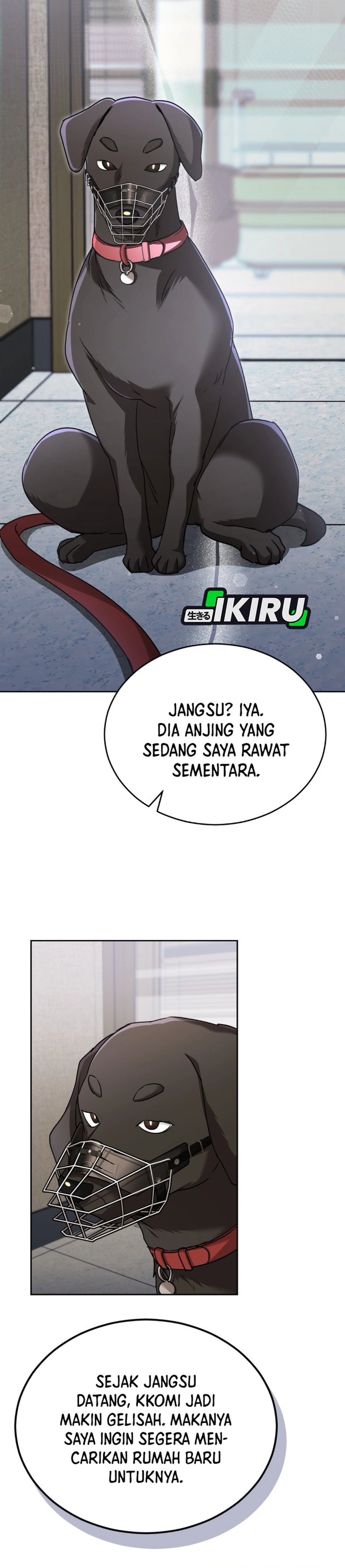 Hello? Veterinarian! Chapter 144 - Page 18