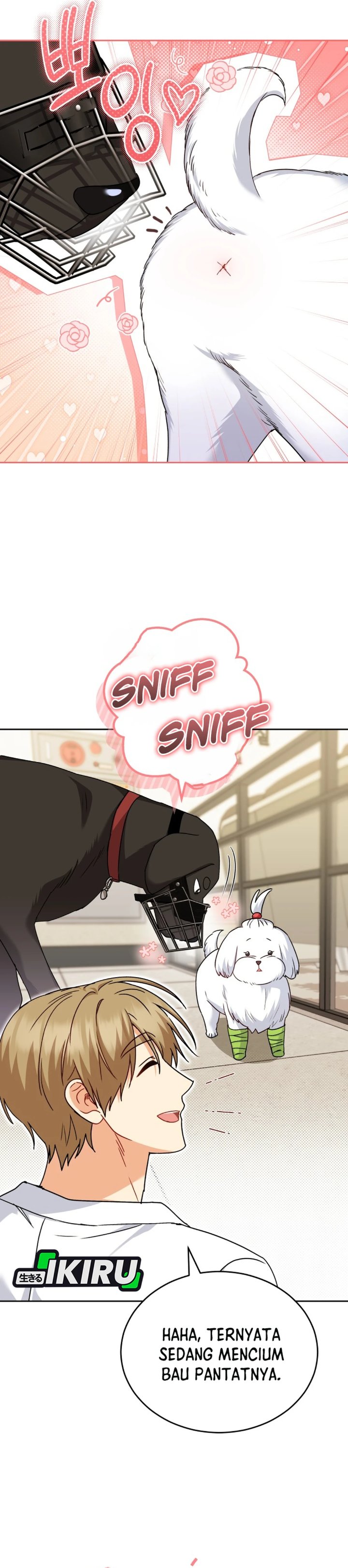 Hello? Veterinarian! Chapter 145 - Page 4