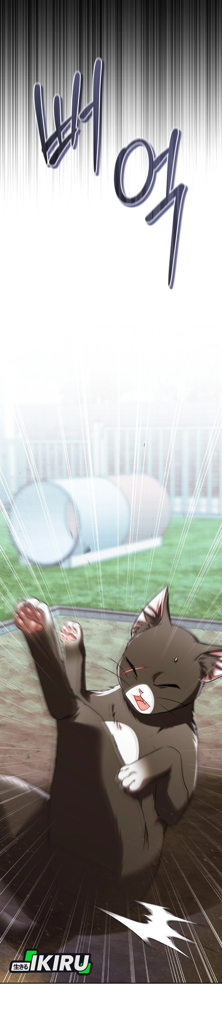 
              Hello? Veterinarian             Chapter 147