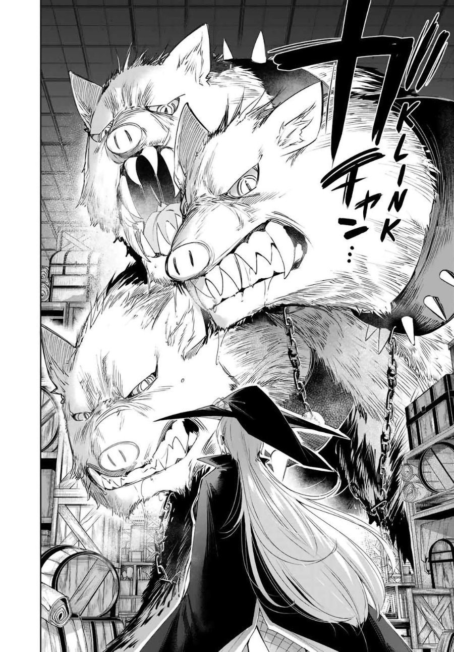 Henkyou no Yakushi, Miyako de S Rank Boukensha to naru Chapter 49 - Page 17