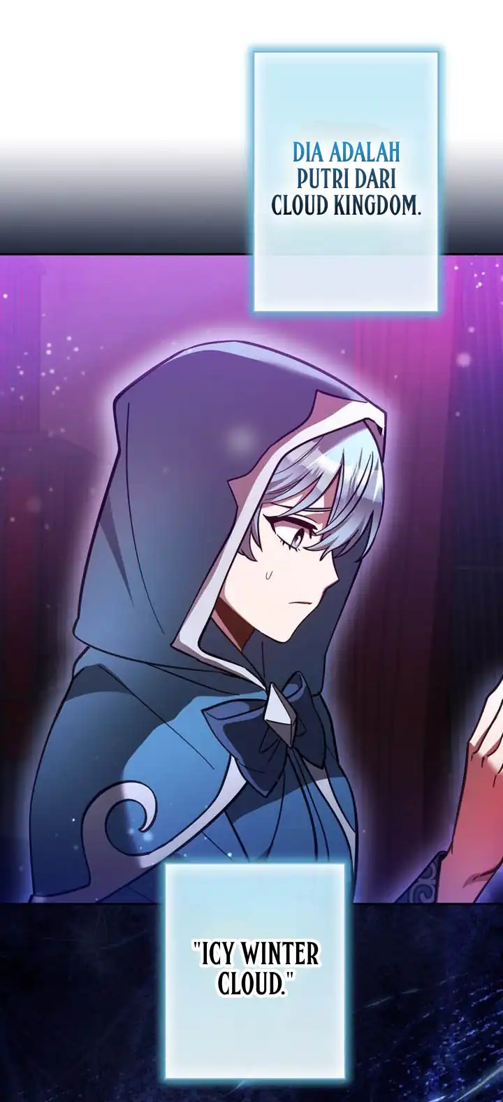 Im the Hero but the Main Heroines Are Trying to Kill Me Chapter 48 - Page 25