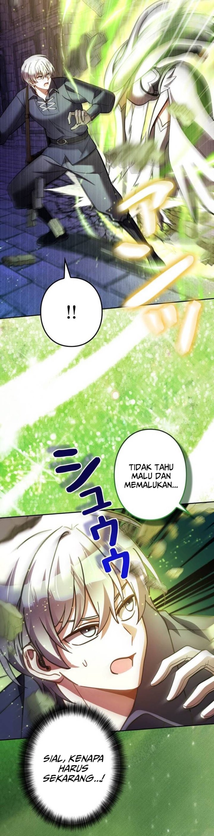 Im the Hero but the Main Heroines Are Trying to Kill Me Chapter 51 - Page 19