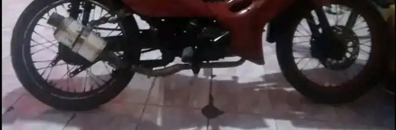 Baca Immortal Simulator: Cultivating in Secret - Chapter 11 halaman 31