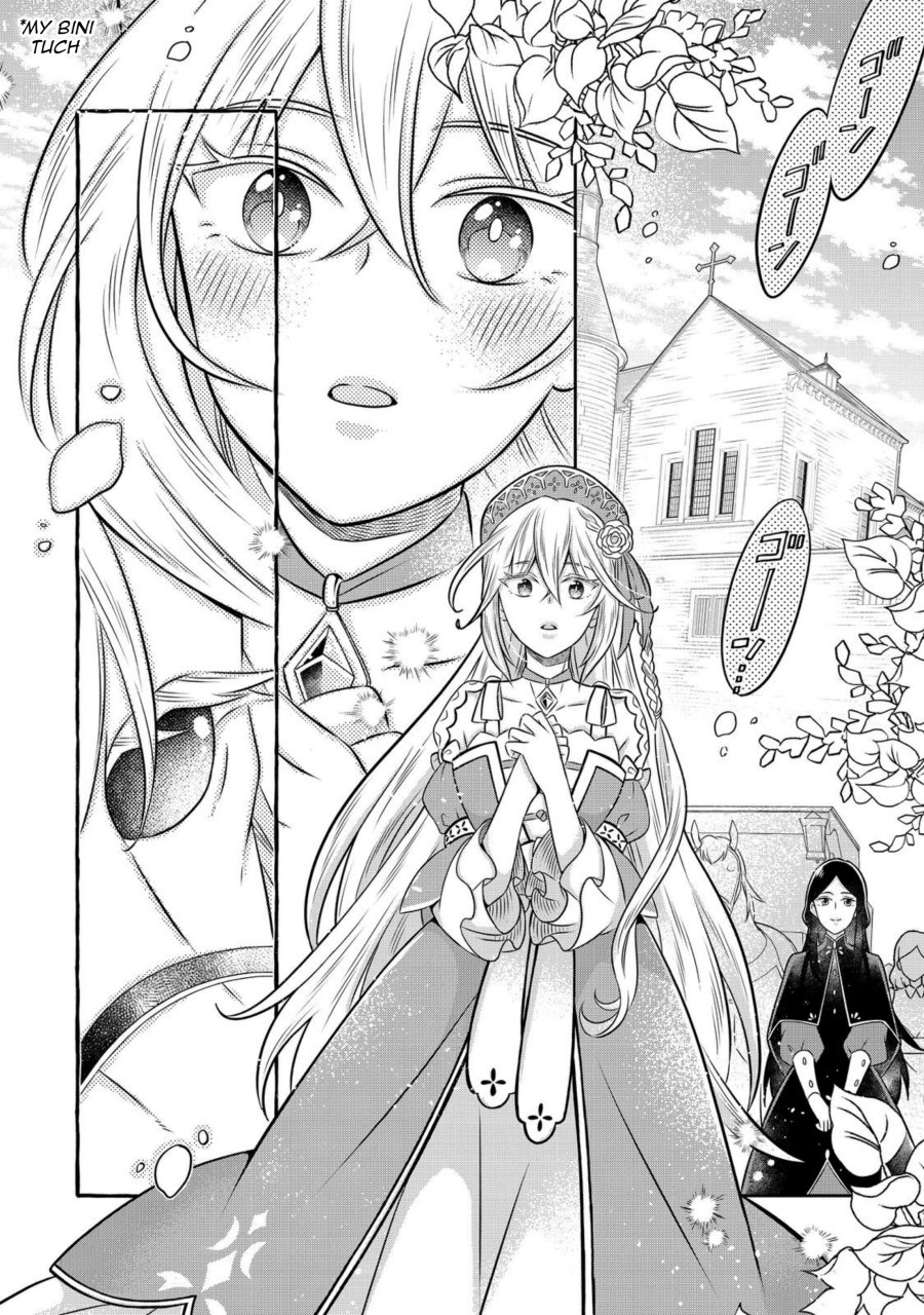 Panel 6
