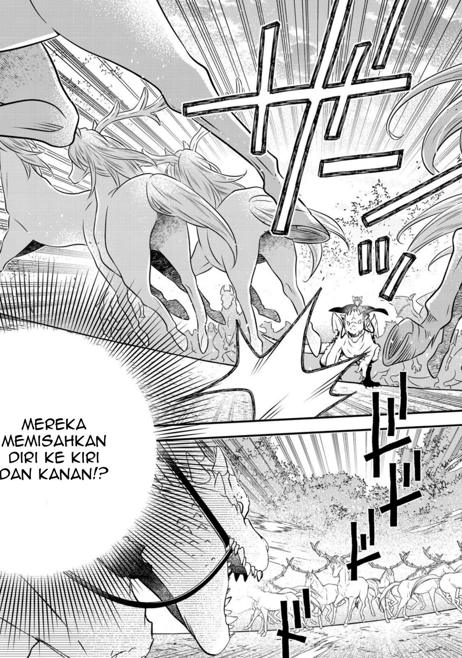 Panel 11