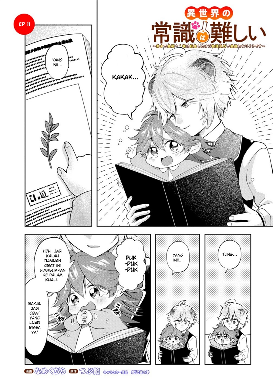 Isekai no Joushiki wa Muzukashii: Kishou de Saijaku na Hitozoku ni Tensei Shita Kedo Butsuri Igai de Saikyou ni Nari Sou Desu Chapter 11 - Page 1