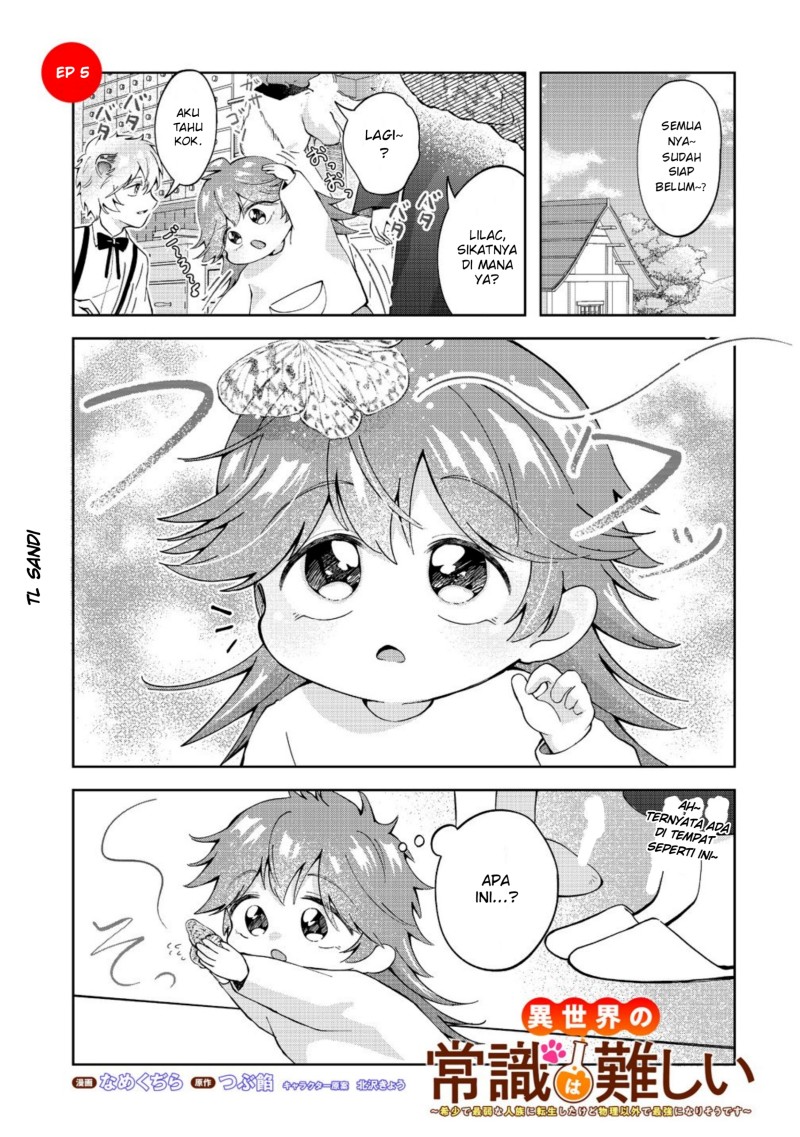 Isekai no Joushiki wa Muzukashii: Kishou de Saijaku na Hitozoku ni Tensei Shita Kedo Butsuri Igai de Saikyou ni Nari Sou Desu Chapter 5.1 - Page 1
