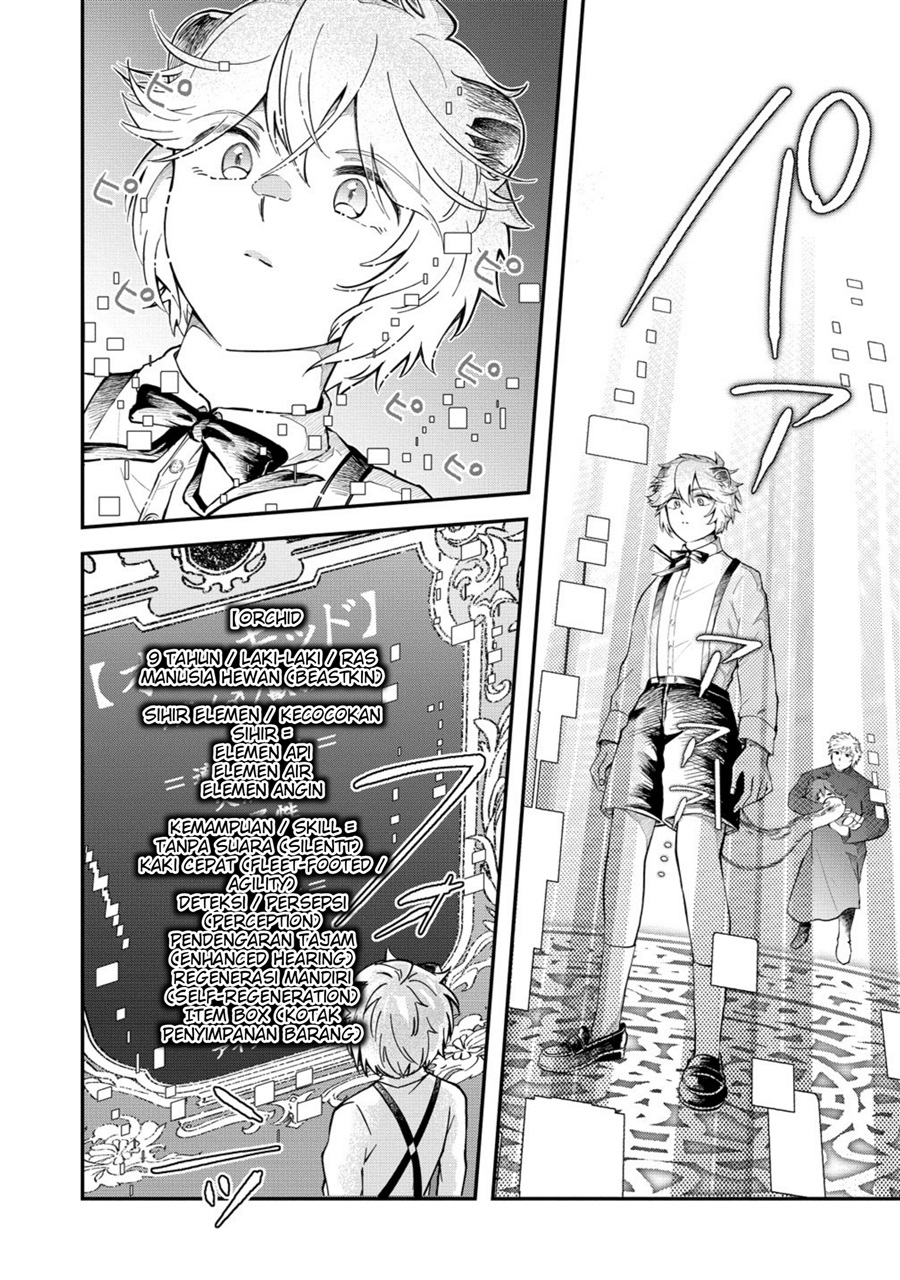Isekai no Joushiki wa Muzukashii: Kishou de Saijaku na Hitozoku ni Tensei Shita Kedo Butsuri Igai de Saikyou ni Nari Sou Desu Chapter 6 - Page 19