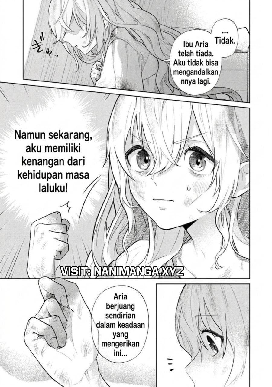 Baca Isekai Tensei Reijou, Shuppon Suru - Chapter 1 halaman 17
