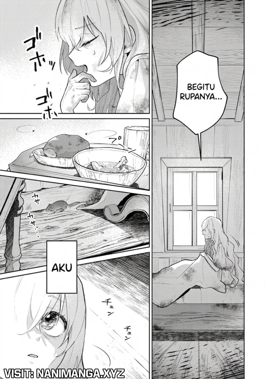 Baca Isekai Tensei Reijou, Shuppon Suru - Chapter 1 halaman 23