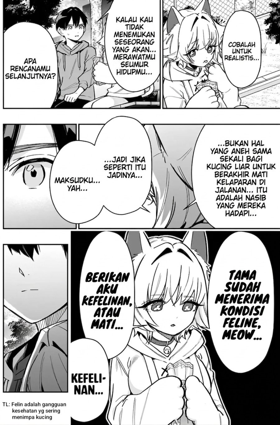 Kimi no koto ga Dai Dai Dai Dai Daisuki na 100-nin no Kanojo Chapter 141 - Page 13