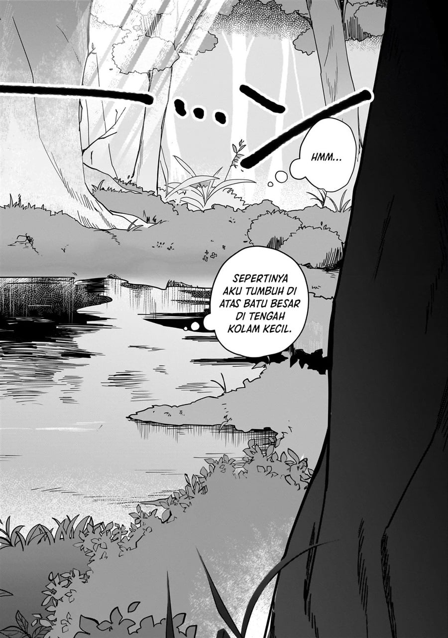 Koke kara Hajimaru Isekai Life Chapter 1 - Page 16