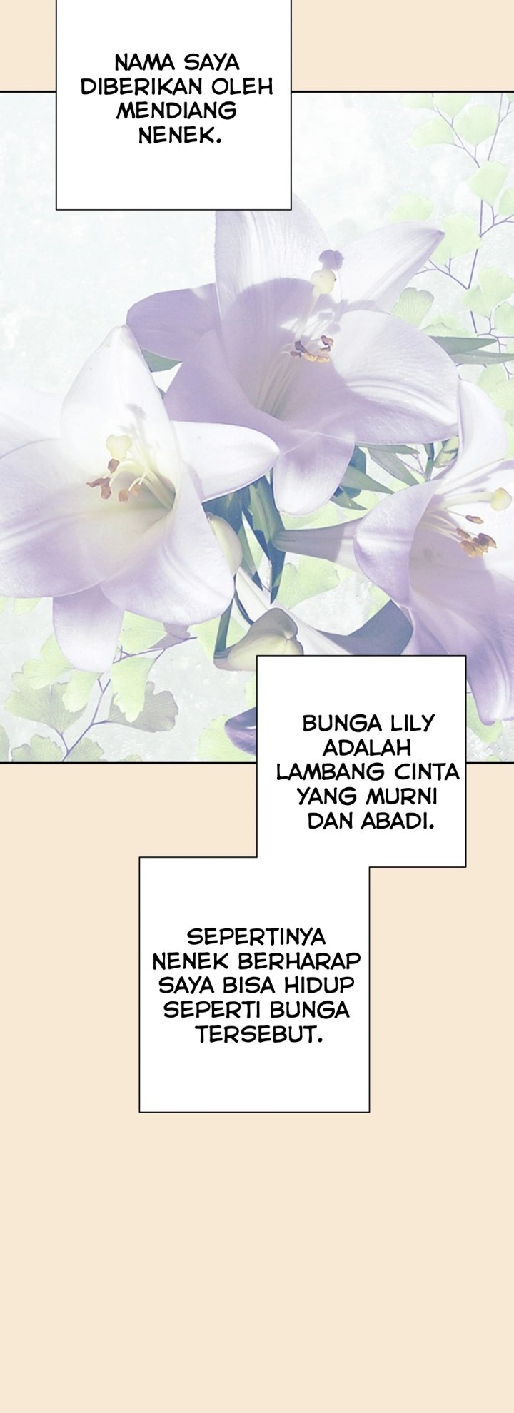 Lily's Melancholy Chapter 40 - Page 4