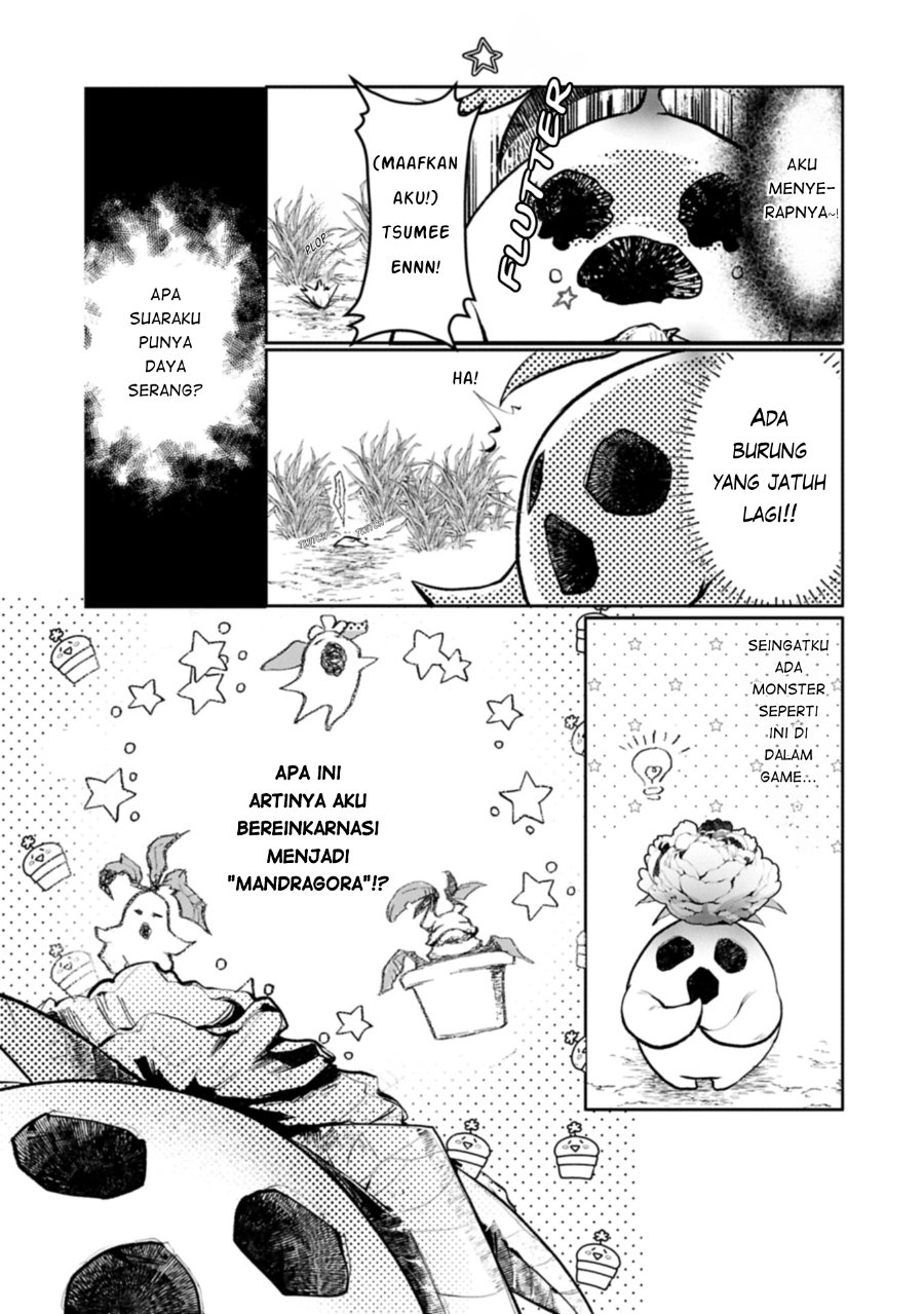 Baca Mamono (Mandragora) tte Baretara Toubatsu desu ka? - Chapter 1 halaman 12