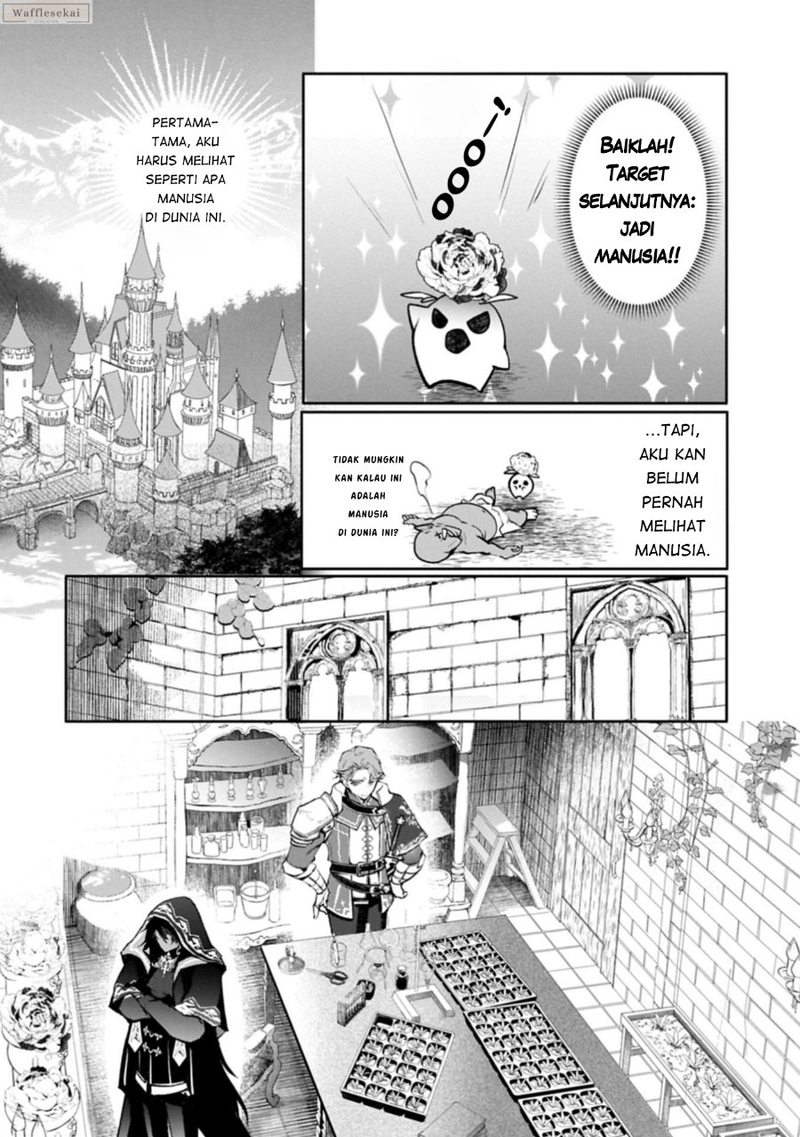 Baca Mamono (Mandragora) tte Baretara Toubatsu desu ka? - Chapter 1 halaman 21