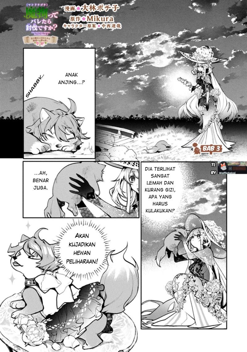 Baca Mamono (Mandragora) tte Baretara Toubatsu desu ka? - Chapter 3.1 halaman 3