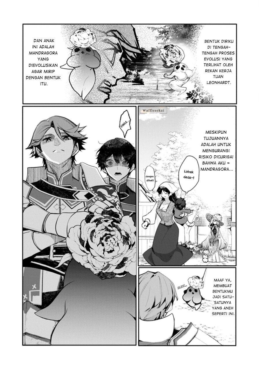 Mamono (Mandragora) tte Baretara Toubatsu desu ka? Chapter 8.1 - Page 14