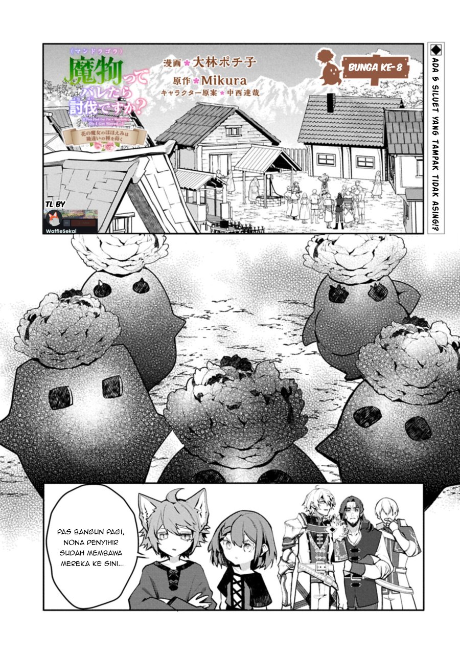Mamono (Mandragora) tte Baretara Toubatsu desu ka? Chapter 8.1 - Page 2
