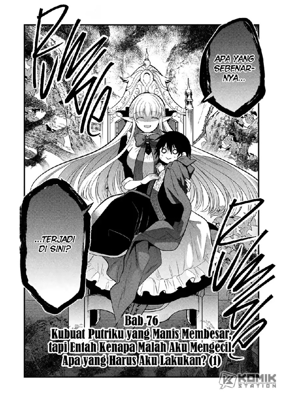 Maou no Ore ga Dorei Elf wo Yome ni Shitanda ga, Dou Medereba Ii? Chapter 76 - Page 17