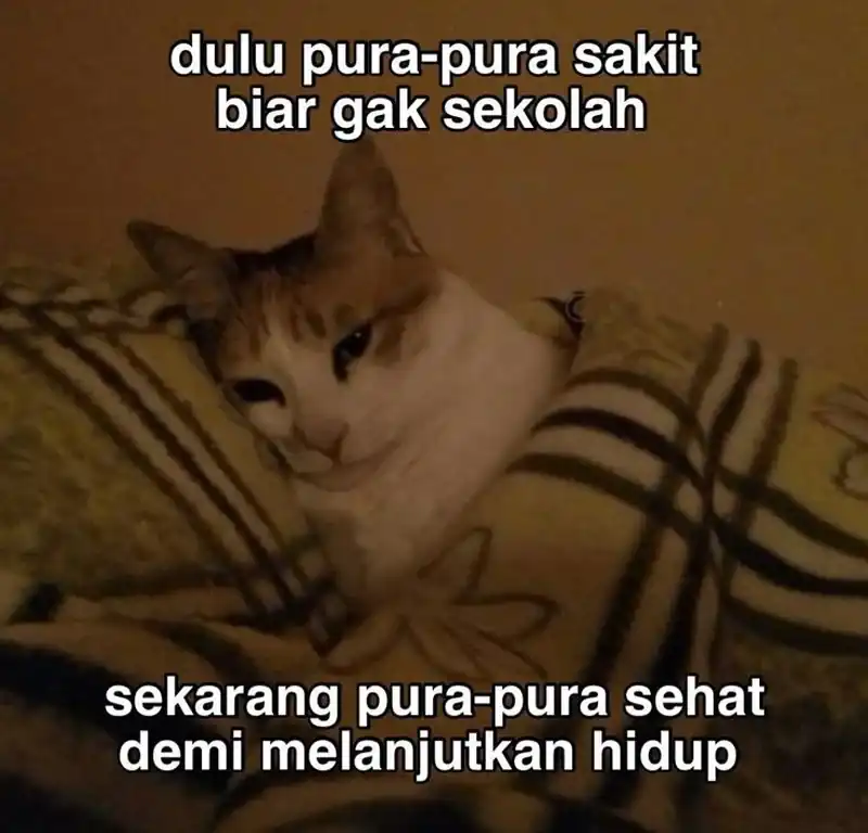 Baca My Female Apprentices Are All Big Shots From the Future - Chapter 400 halaman 24