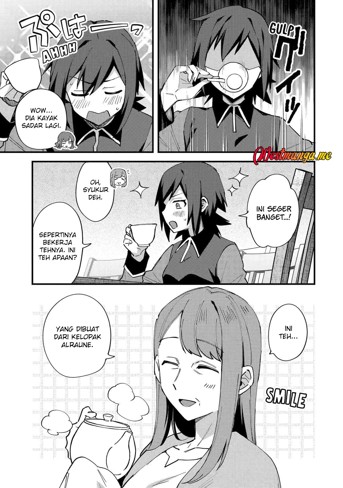 Baca Nido Tensei Shita Shounen wa S Rank Boukensha Toshite Heion ni Sugosu-zense ga kenja de eiyuu datta boku wa raisede wa jimini ikiru - Chapter 52 halaman 7