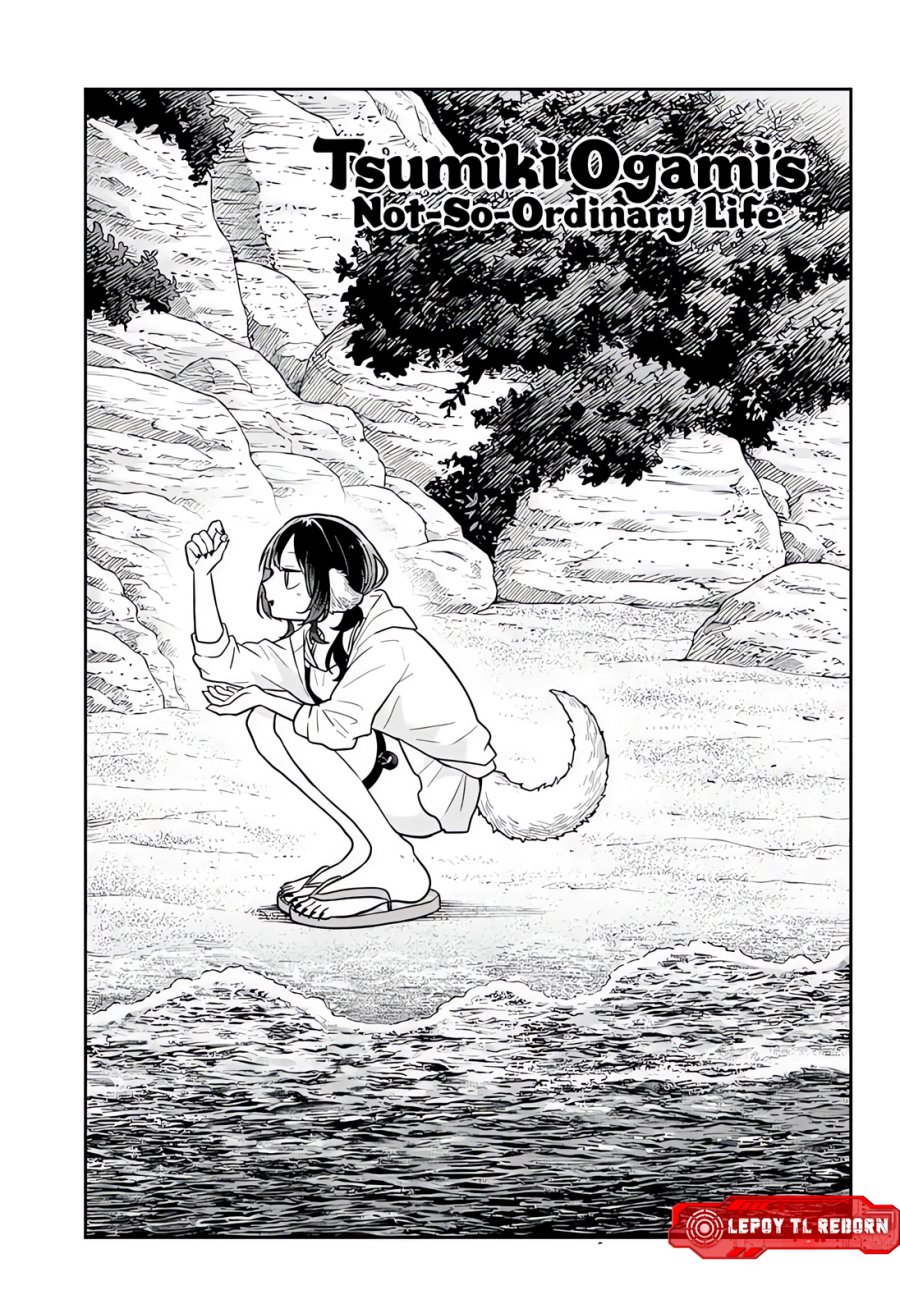 Ogami Tsumiki to Kinichijou Chapter 104 - Page 1