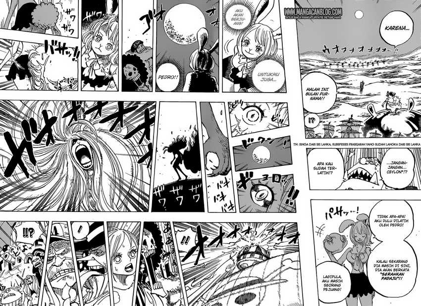Baca One Piece - Chapter 888 halaman 9