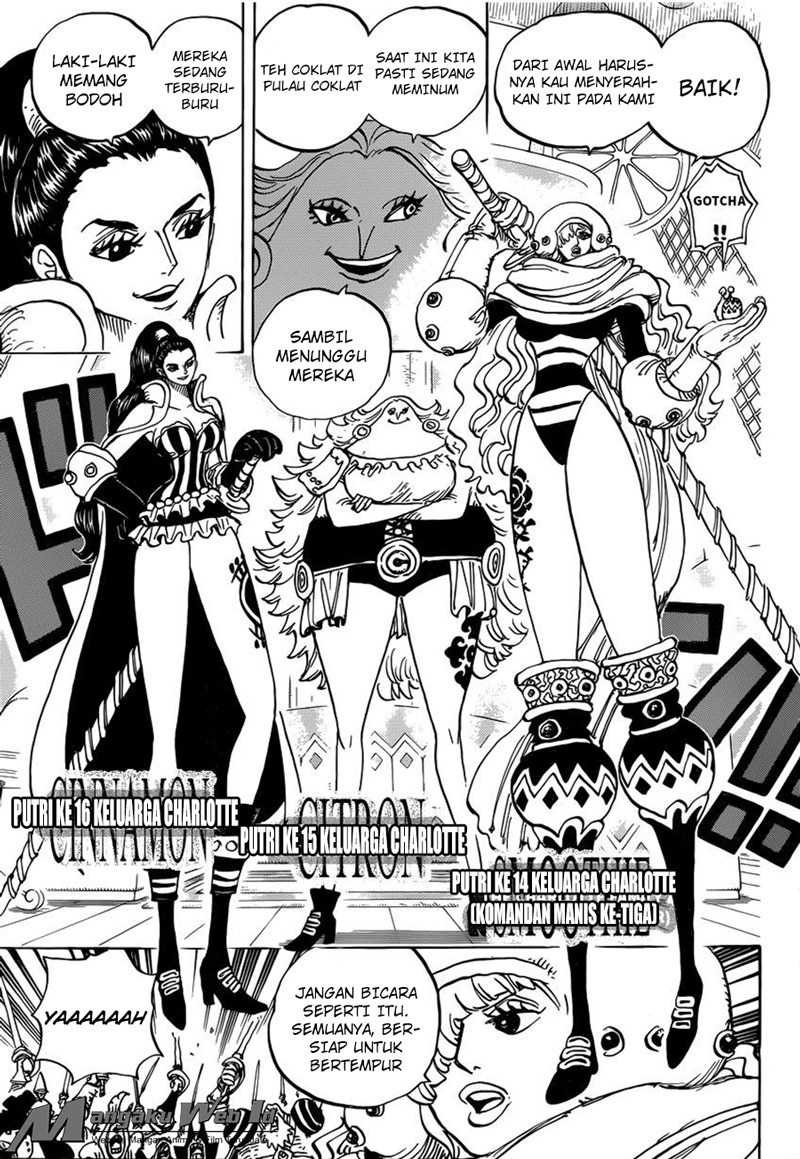 Baca One Piece - Chapter 892 halaman 15