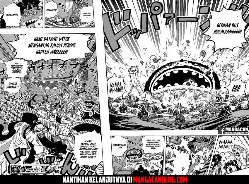 Baca One Piece - Chapter 899 halaman 16