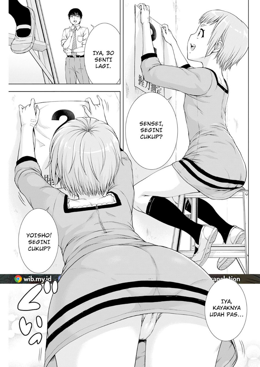 Panel 7