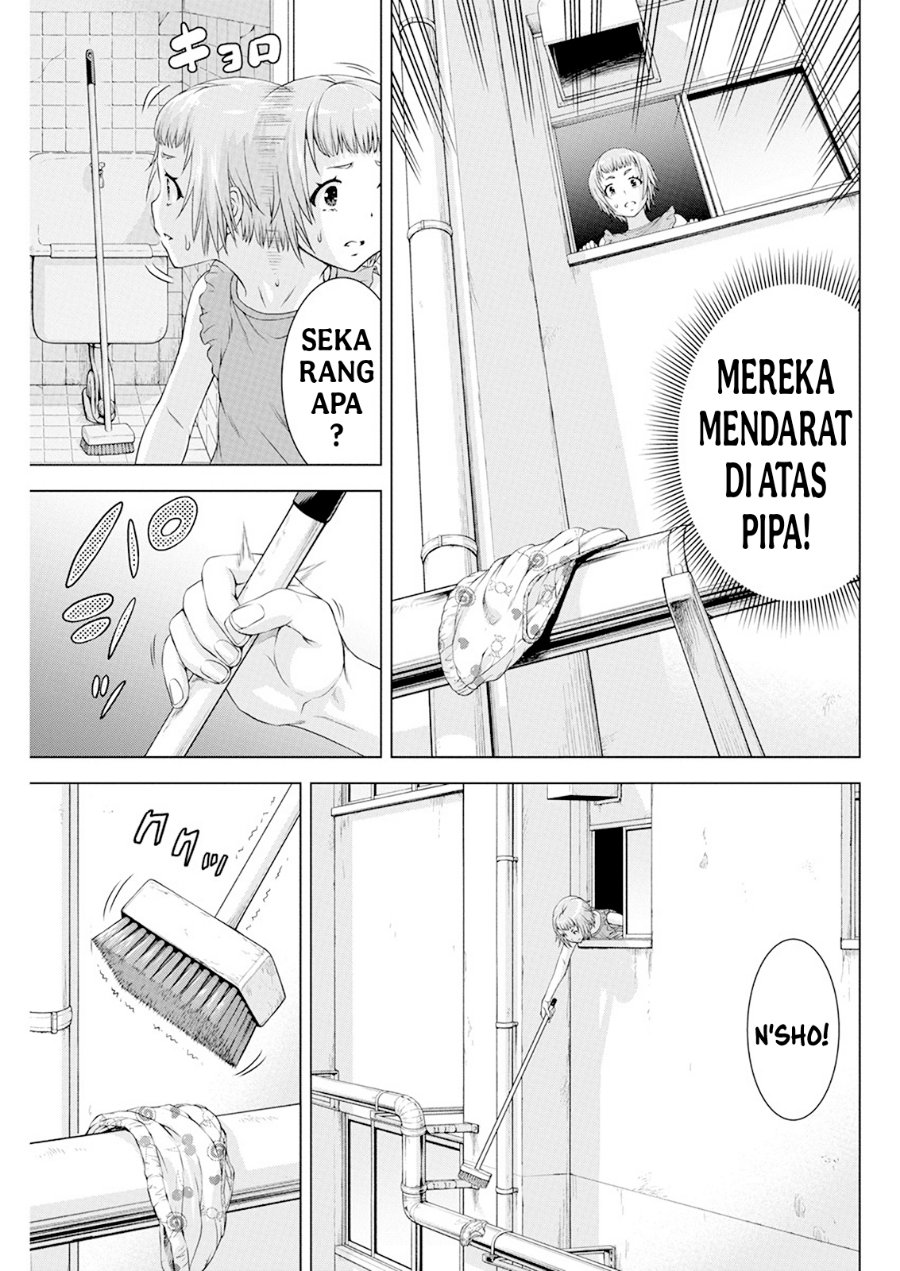 Panel 11