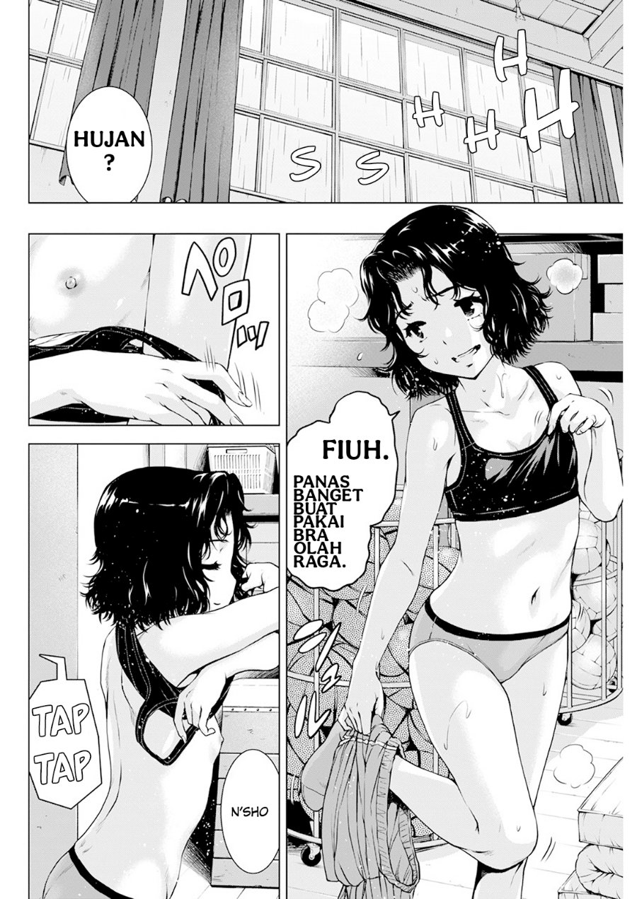 Panel 13